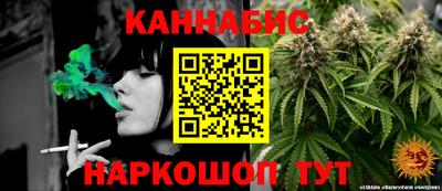 сатива Лесосибирск