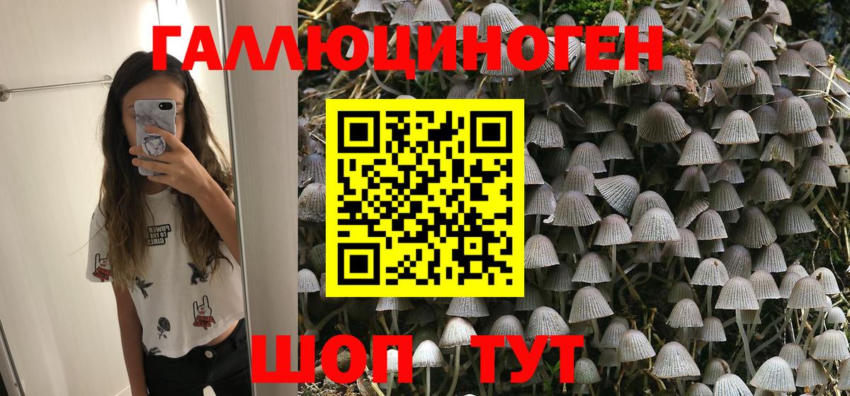 Галлюциногенные грибы Psilocybe  Вход с VPN  купить закладку  Железноводск 